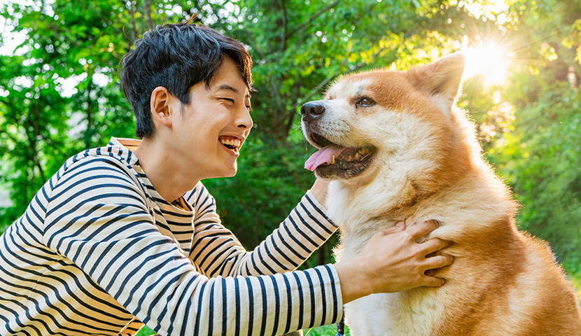 しつけ(トレーニング)は、犬との絆をつくります