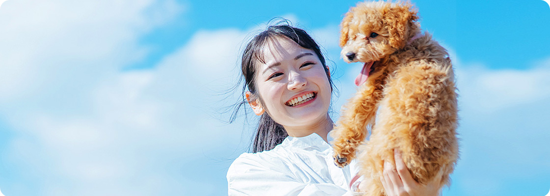 犬のしつけ教室